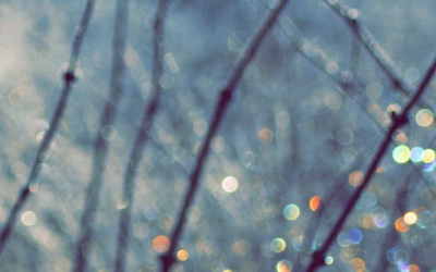 Januar